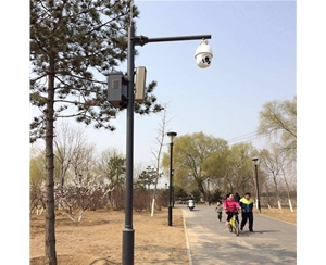 博乐小区监控杆-LB-02